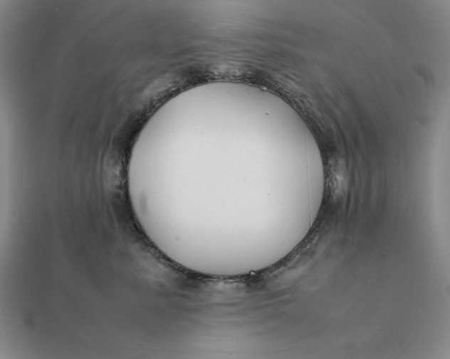 X0000112110619200908251213