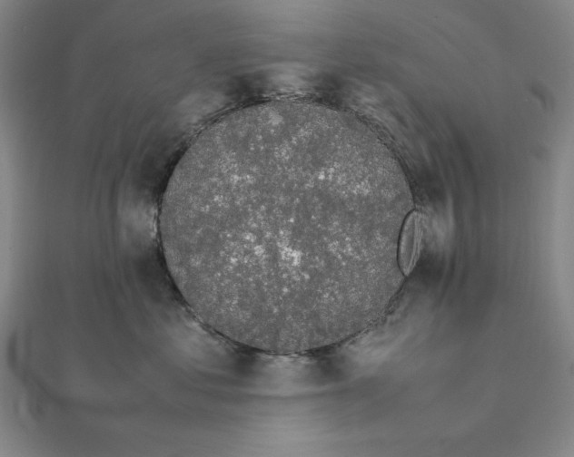 X0000112110621200908251213