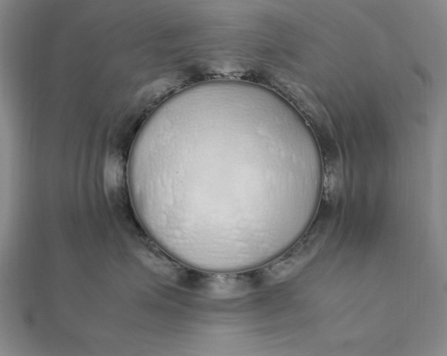 X0000112110623200908251213