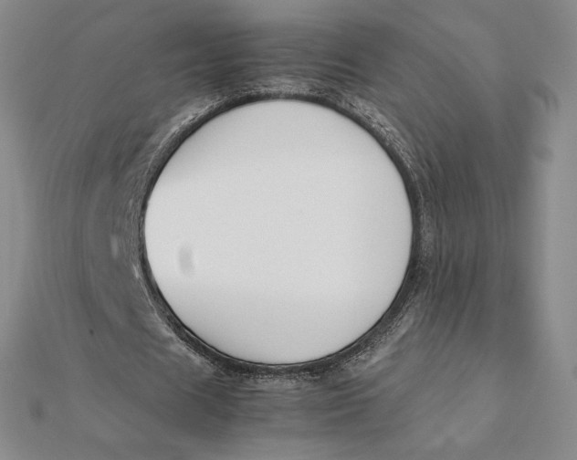 X0000112110625200908251212