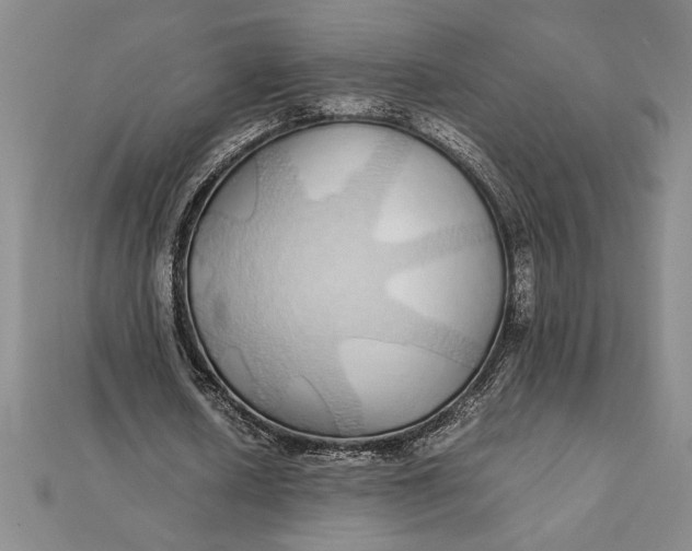 X0000112110626200908251212