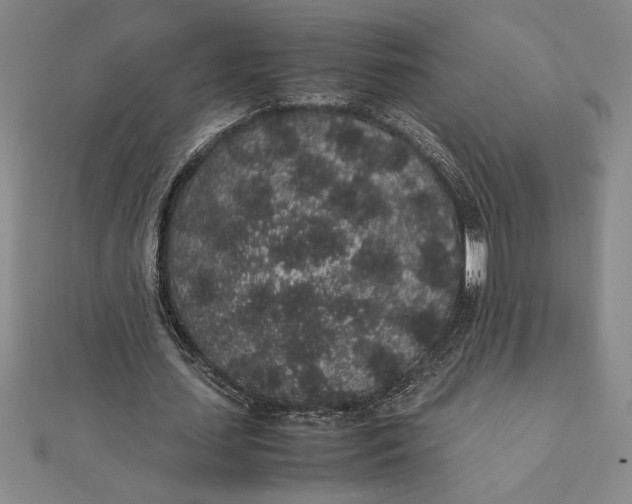 X0000112110627200908251212