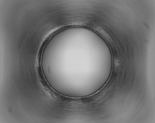 X0000112110628200908251212