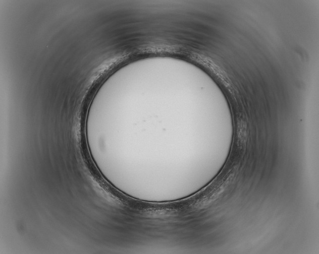 X0000112110629200908251212