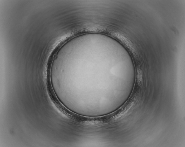 X0000112110630200908251212