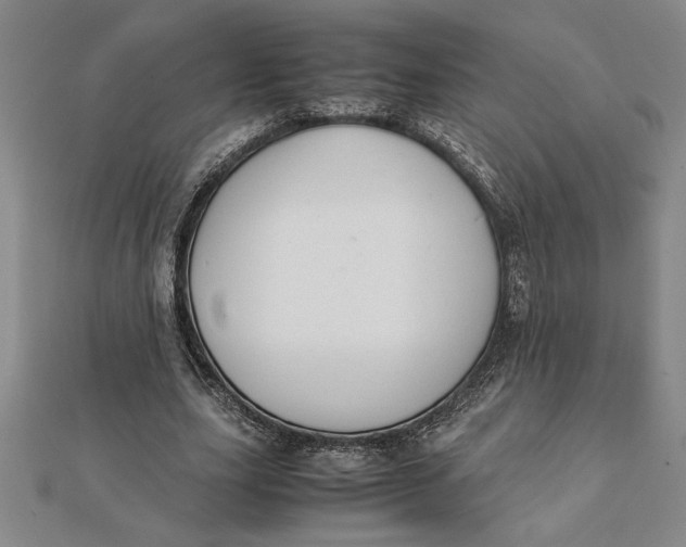 X0000112110631200908251212