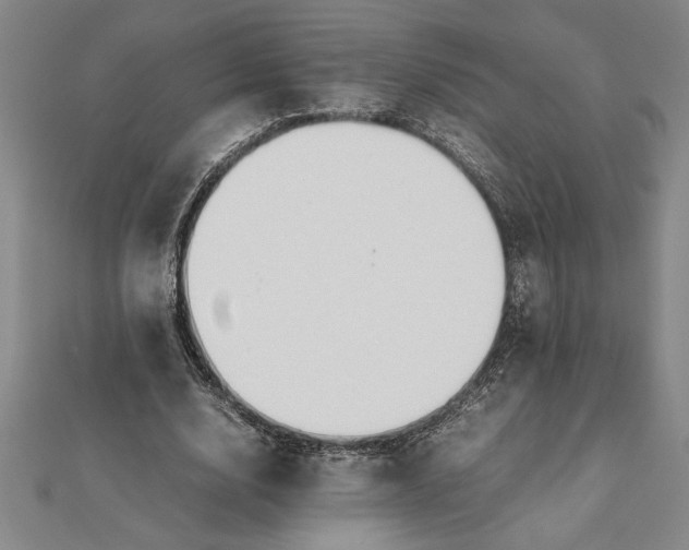 X0000112110632200908251212