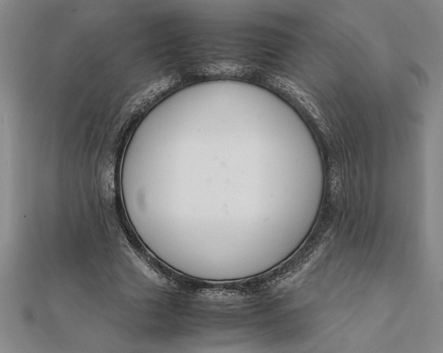 X0000112110633200908251212