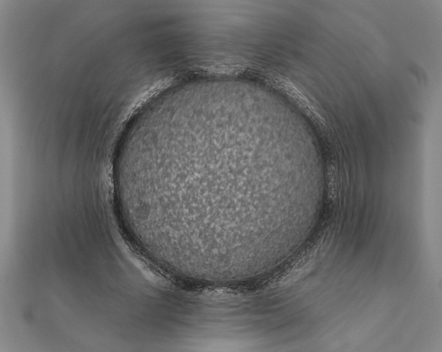 X0000112110634200908251212