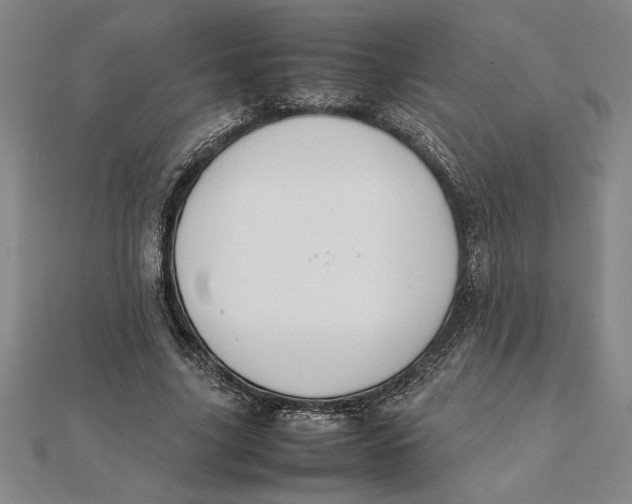 X0000112110635200908251212