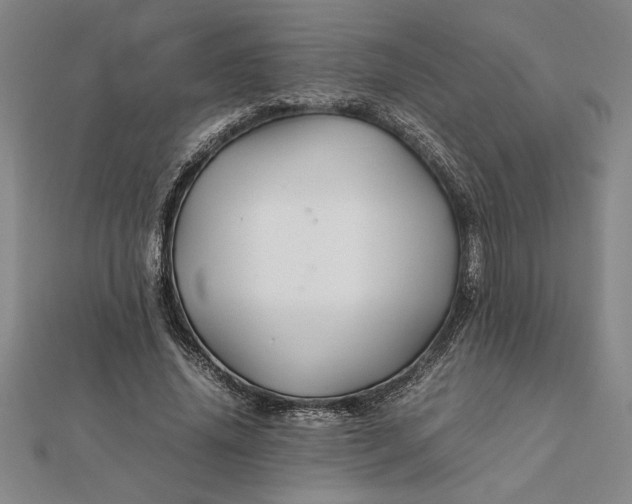 X0000112110636200908251212