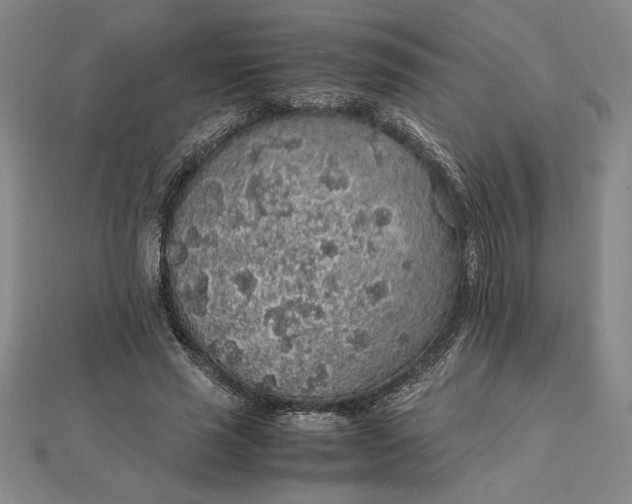 X0000112110637200908251212