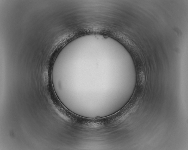 X0000112110638200908251212