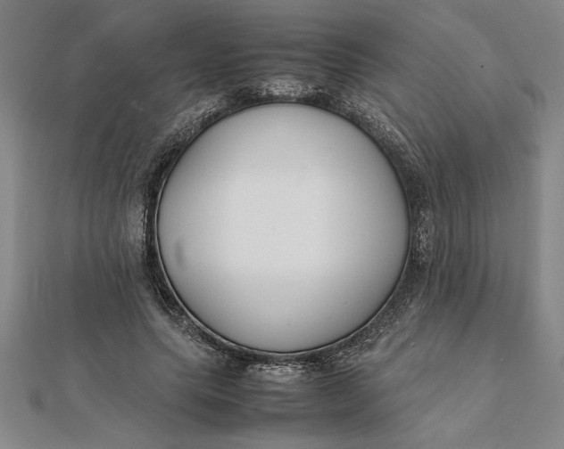 X0000112110639200908251212