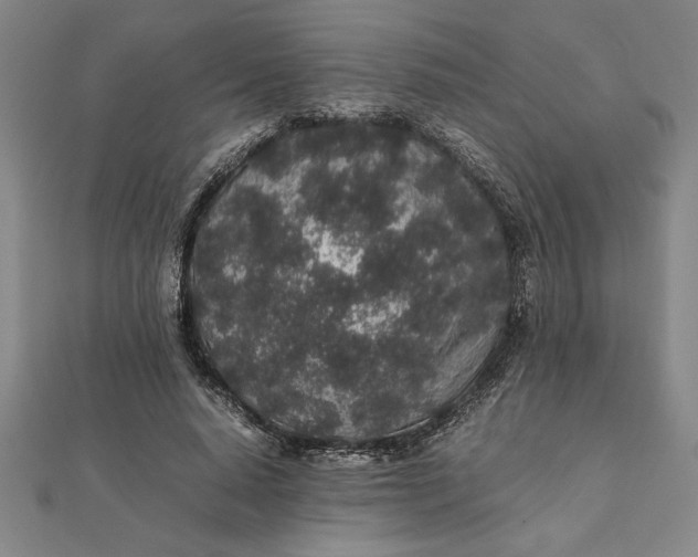 X0000112110640200908251212