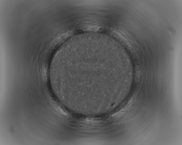 X0000112110641200908251212