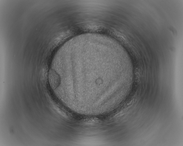 X0000112110642200908251212