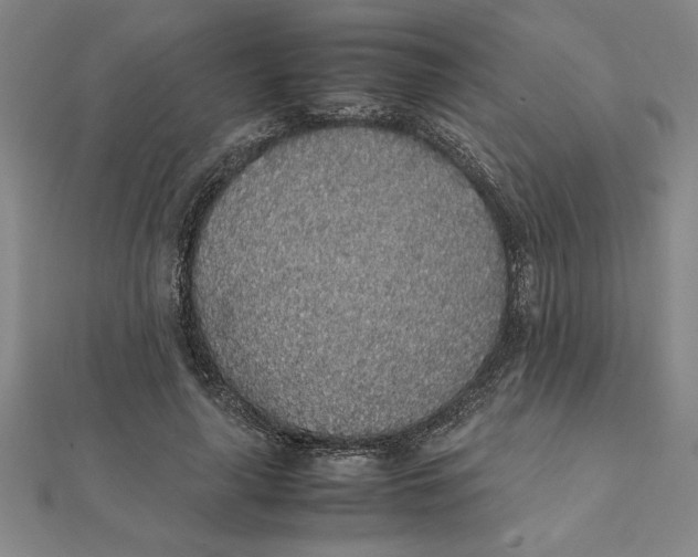 X0000112110643200908251212