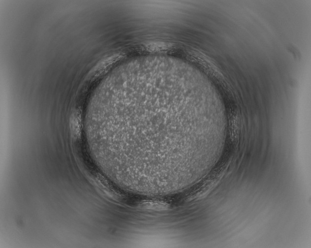 X0000112110644200908251212