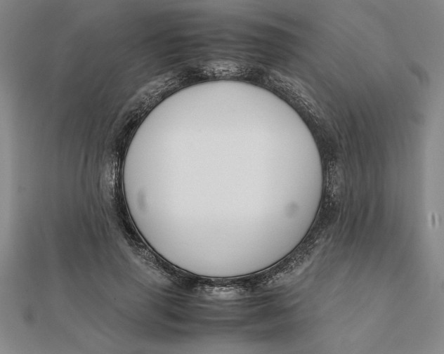 X0000112110645200908251212