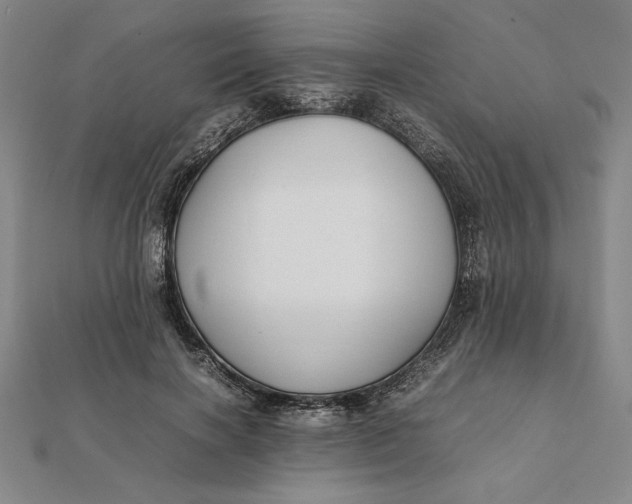 X0000112110646200908251212