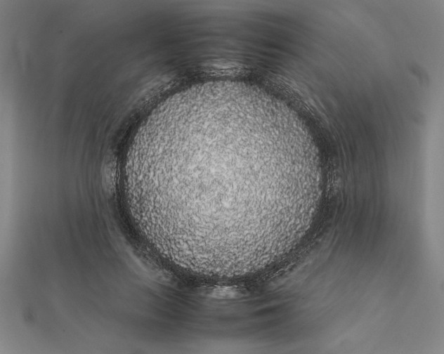 X0000112110647200908251212