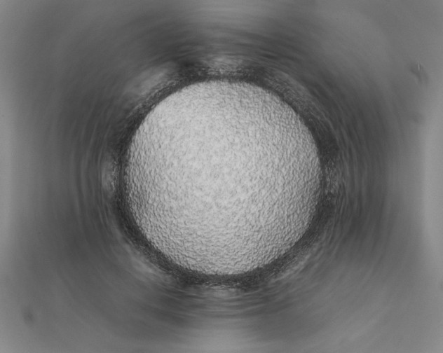 X0000112110648200908251212