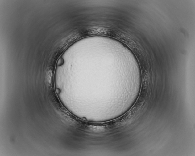 X0000112110649200908251212