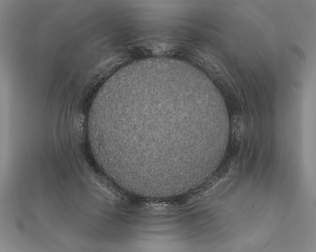 X0000112110650200908251212