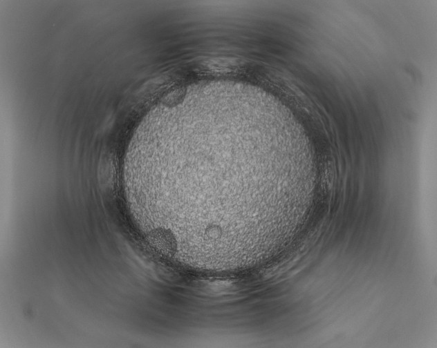 X0000112110651200908251212