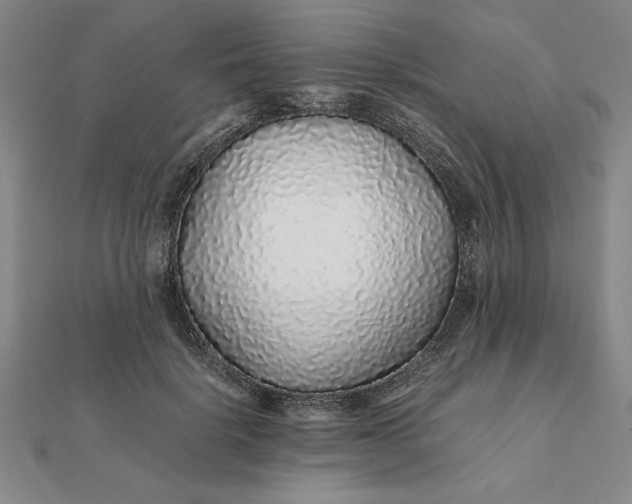 X0000112110652200908251212