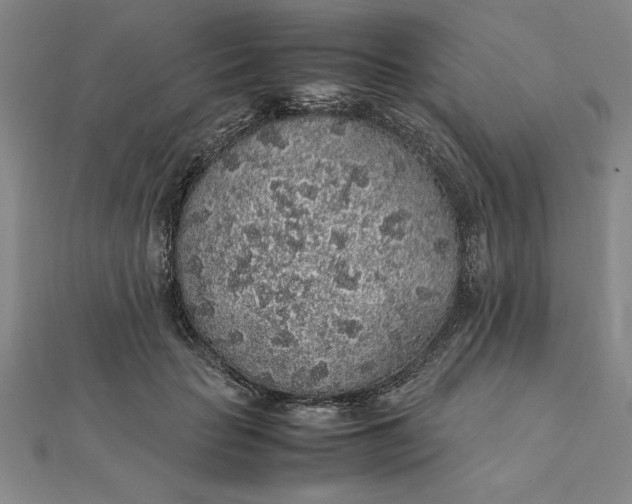 X0000112110653200908251212