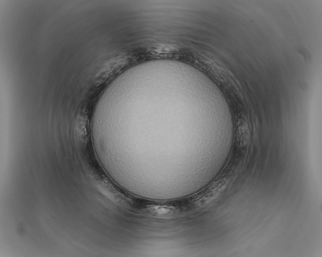 X0000112110654200908251213