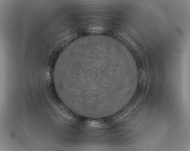 X0000112110655200908251213