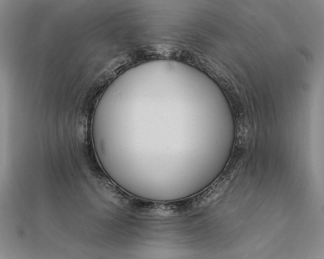 X0000112110656200908251213