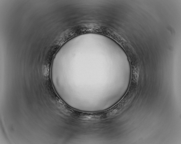 X0000112110657200908251213