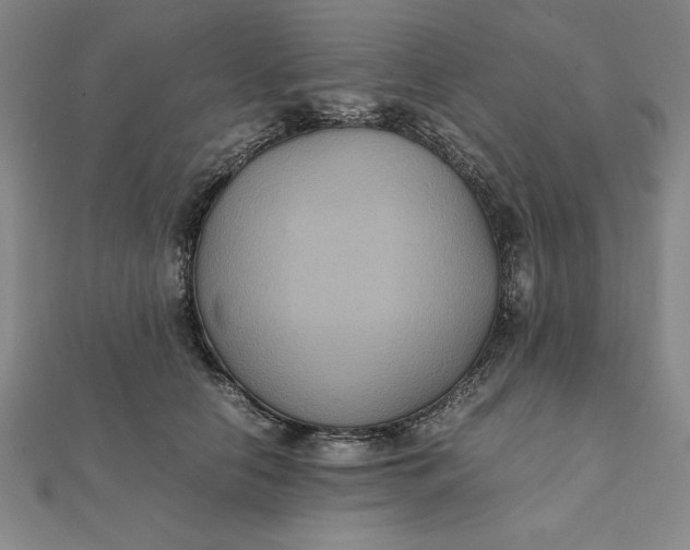 X0000112110658200908251213