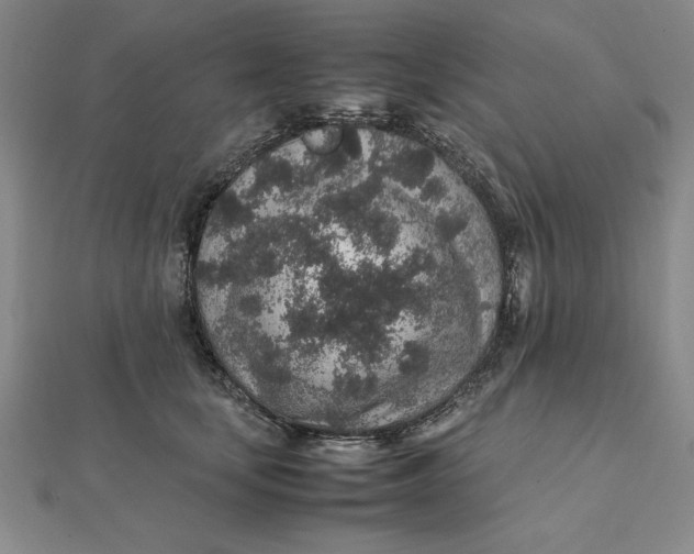 X0000112110659200908251213