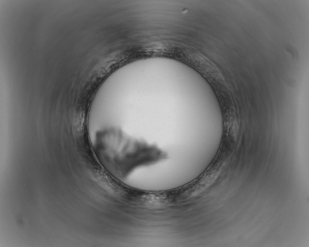 X0000112110660200908251213