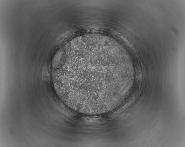 X0000112110661200908251213