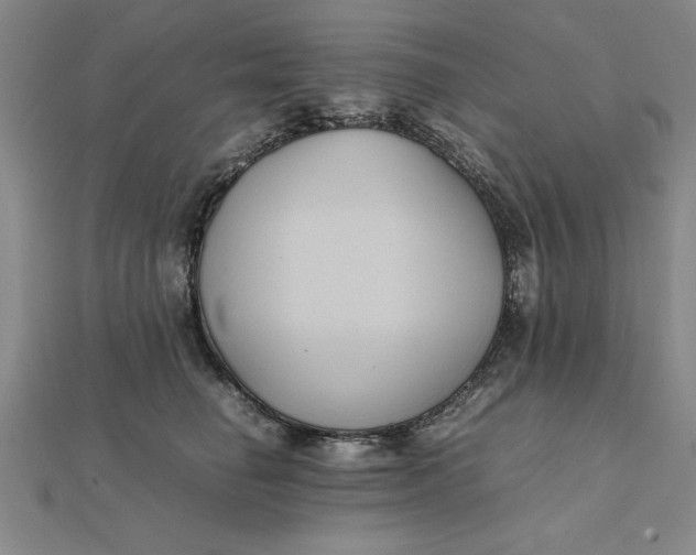 X0000112110662200908251213