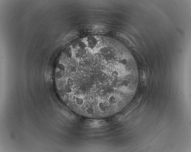 X0000112110663200908251213