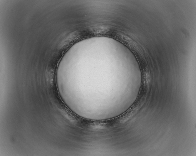 X0000112110664200908251213