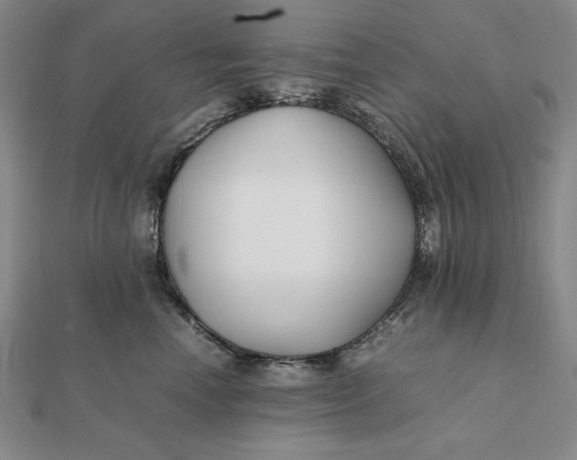 X0000112110666200908251213