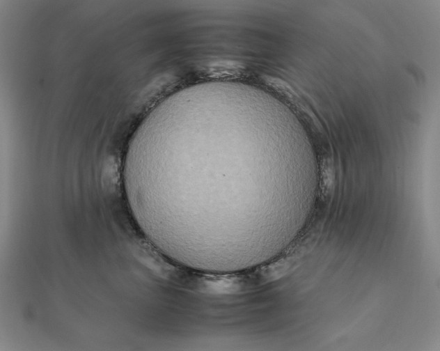 X0000112110667200908251213