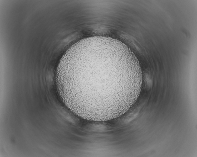 X0000112110668200908251213