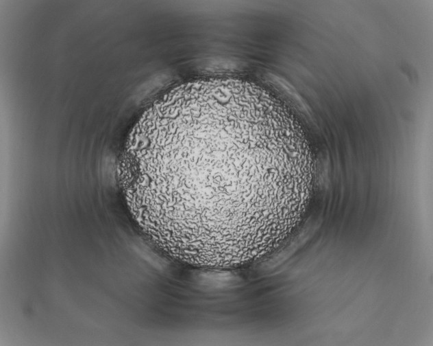 X0000112110669200908251213