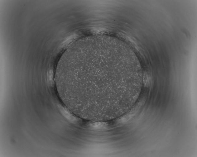 X0000112110670200908251213