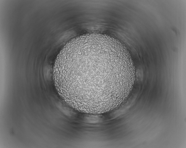 X0000112110671200908251213