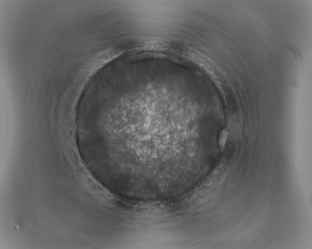 X0000112110673200908251212